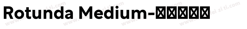 Rotunda Medium字体转换